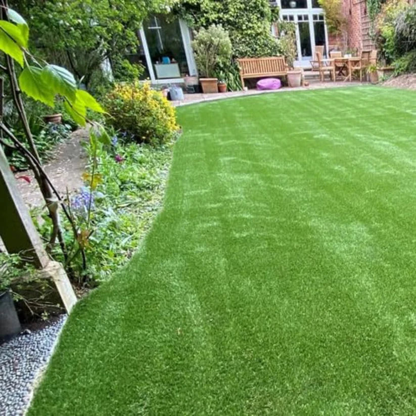 Imported American Bermuda Lawn Grass Seeds