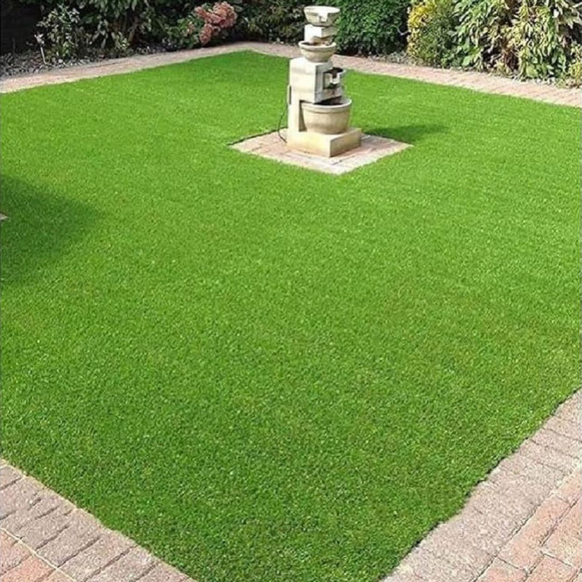 Imported American Bermuda Lawn Grass Seeds