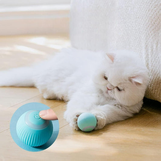 Pet Smart Ball Toy – Interactive Fun for Your Furry Friend