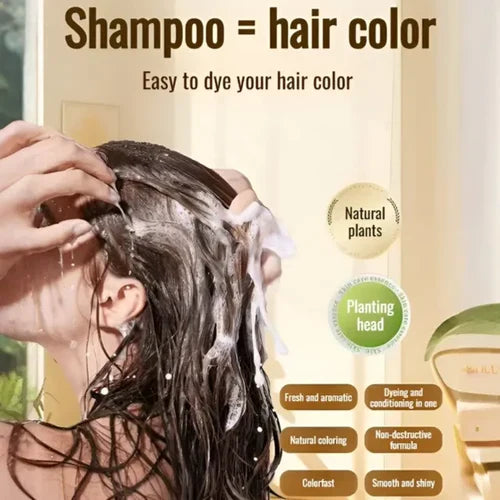Long Lasting Natural Hair Dye Shampoo (Buy 1 Get 1 Free)
