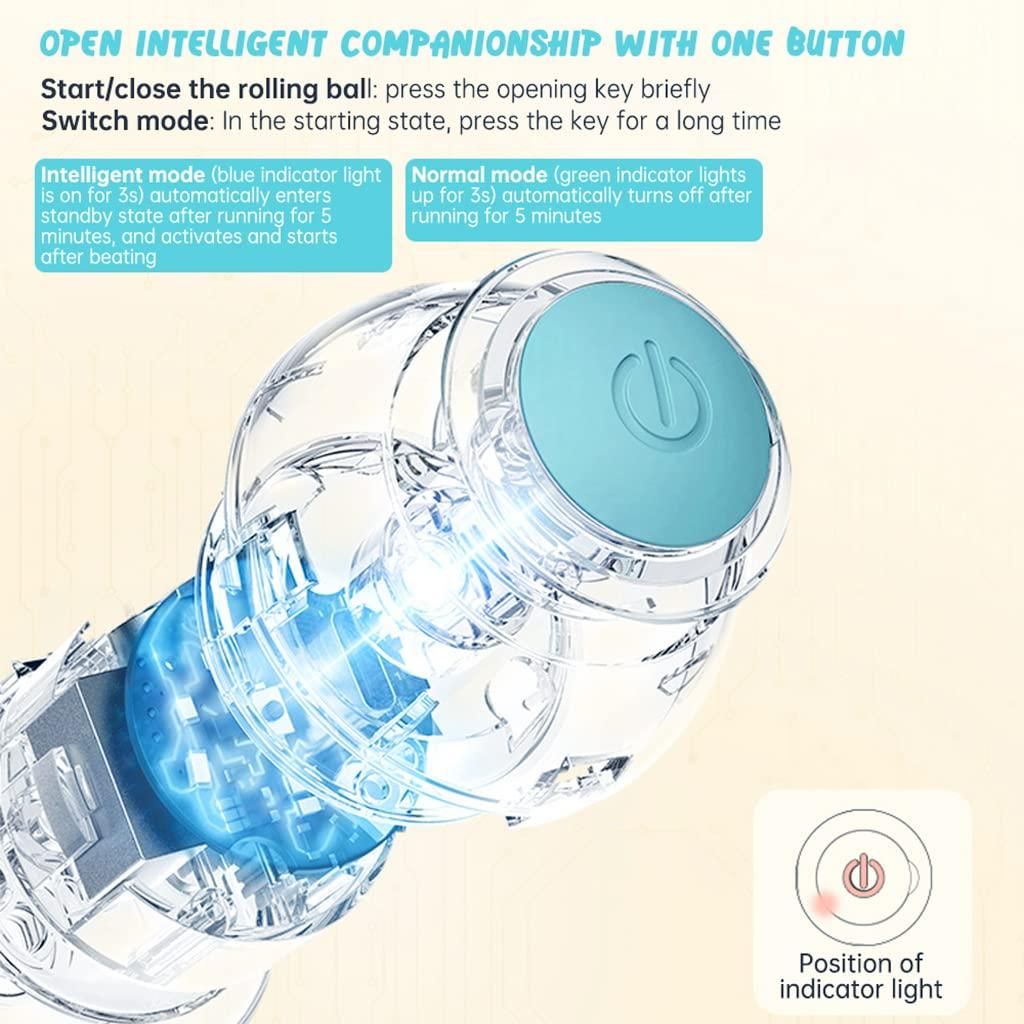 Pet Smart Ball Toy – Interactive Fun for Your Furry Friend