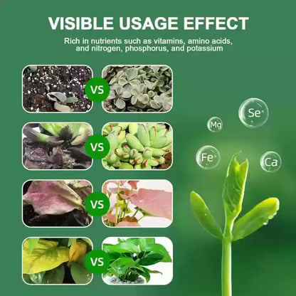 Plant Boost Liquid Biofertilizer (Buy 2 Get 2 Free)