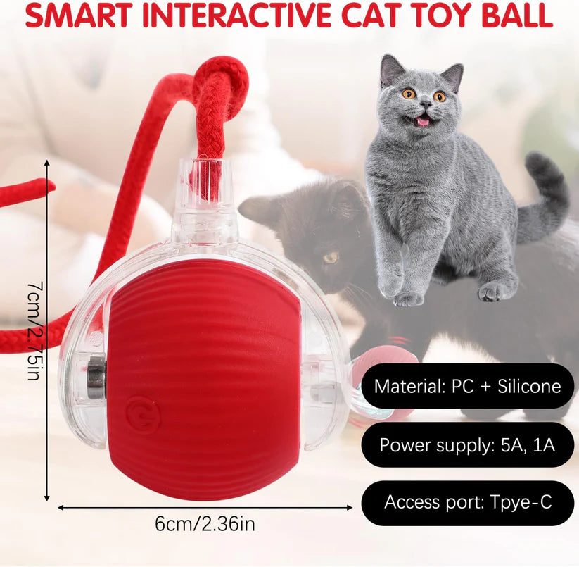 Smart Cat Rolling Ball