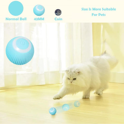 Pet Smart Ball Toy – Interactive Fun for Your Furry Friend