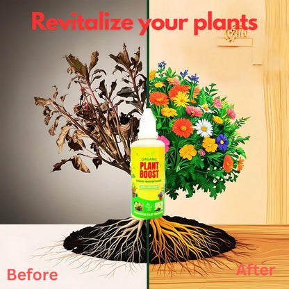 Plant Boost Liquid Biofertilizer (Buy 2 Get 2 Free)