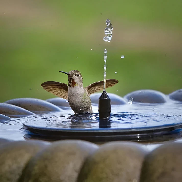 Solar-Powered Bird Fountain Kit