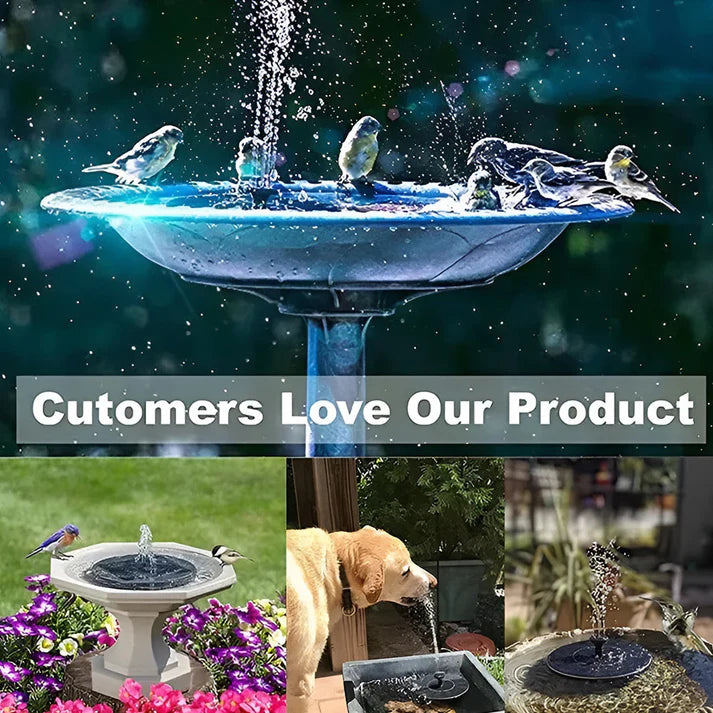 Solar-Powered Bird Fountain Kit