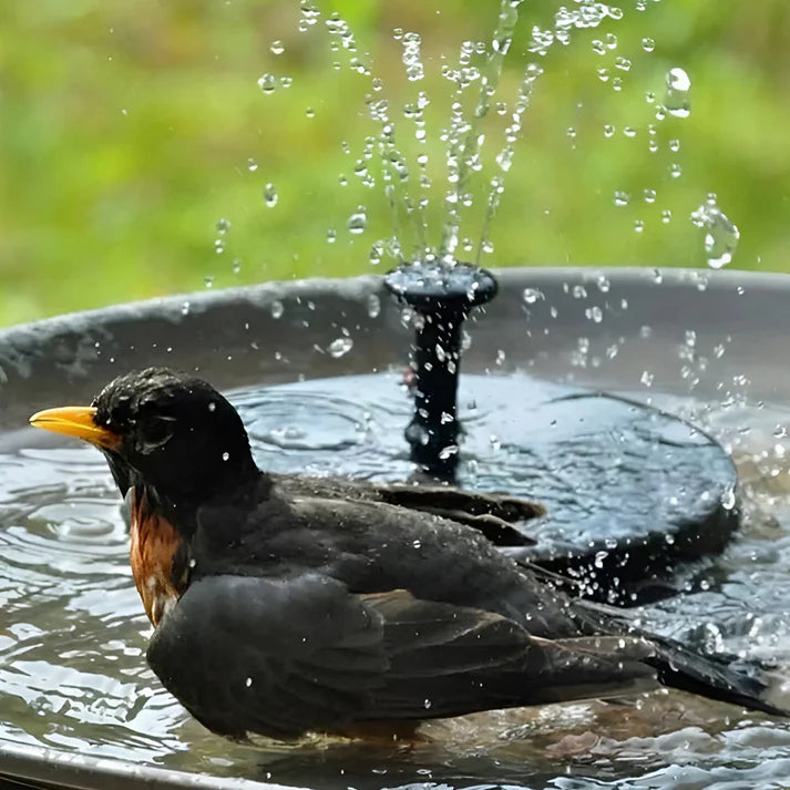 Solar-Powered Bird Fountain Kit