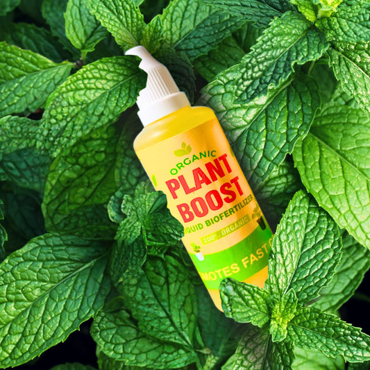 Plant Boost Liquid Biofertilizer (Buy 2 Get 2 Free)