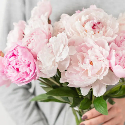 Beautiful Peony Flower Seeds - For Your Garden 🌸