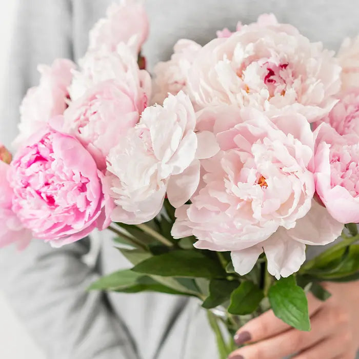 Beautiful Peony Flower Seeds - For Your Garden 🌸