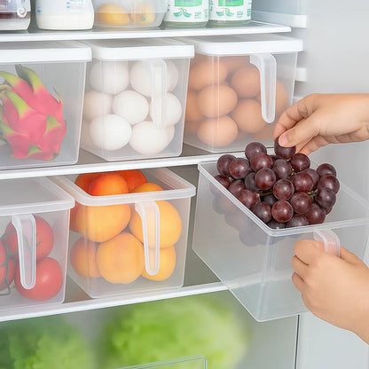 Premium Fridge Storage Containers – Set of 6 Airtight Boxes with Handle